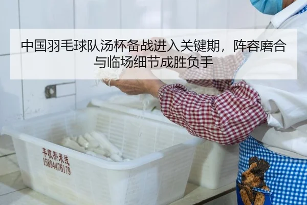 中国羽毛球队汤杯备战进入关键期，阵容磨合与临场细节成胜负手